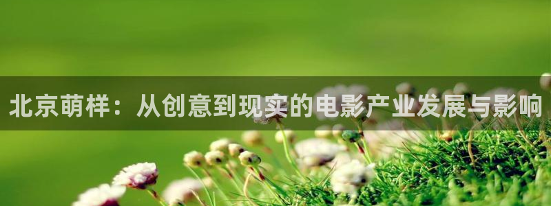 好看影院在線觀看電影：北京萌樣：從創(chuàng)意到現(xiàn)實的電影產(chǎn)業(yè)發(fā)展與影響